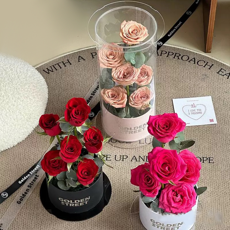 Beautiful living room decorations as holiday gifts for girls