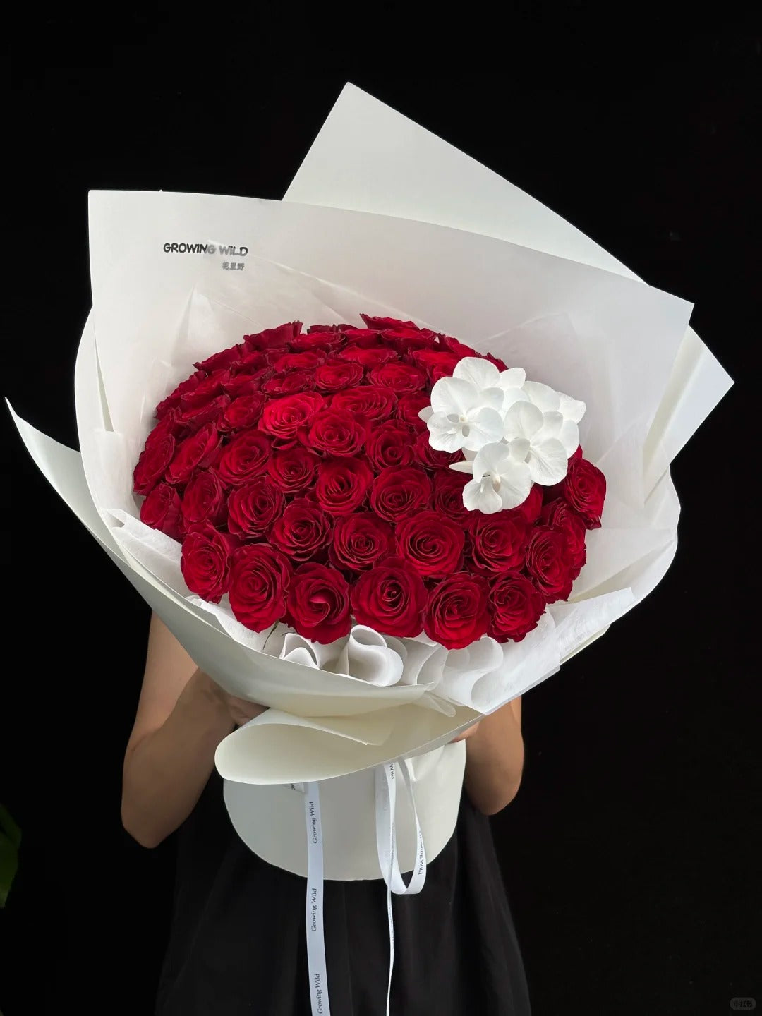 Buket bunga 50 bungkus mawar, mawar untuk hadiah ulang tahun/ hadiah liburan untuk pacar