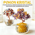 Hadiah Natal Tanaman pot keberuntungan dan pohon uang untuk dekorasi kantor membawa keberuntungan