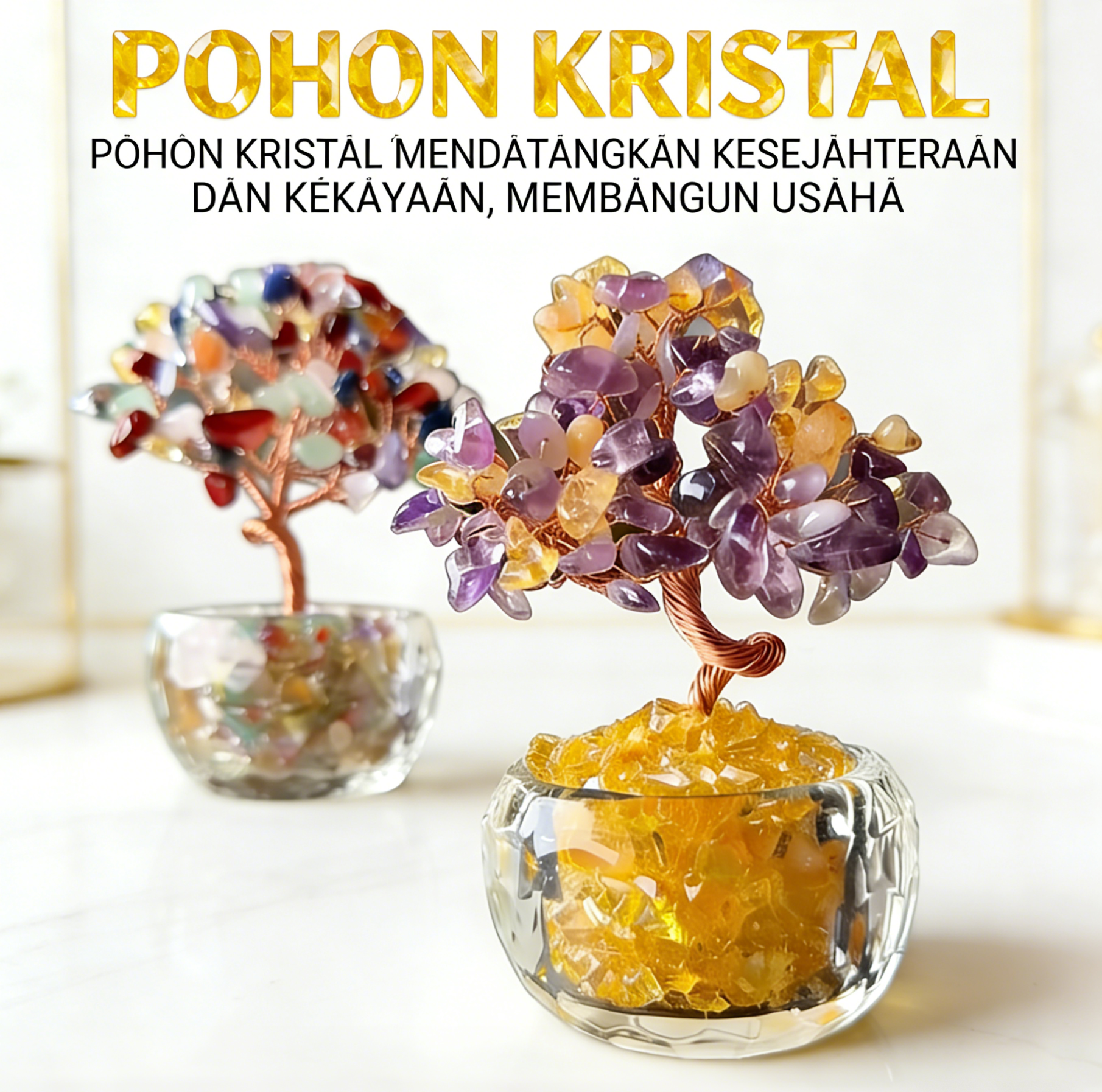 Hadiah Natal Tanaman pot keberuntungan dan pohon uang untuk dekorasi kantor membawa keberuntungan